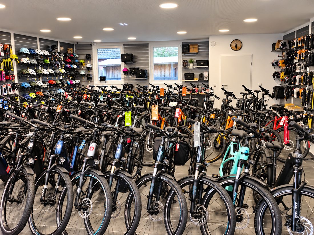 Große Auswahl an E-Bikes lagernd